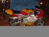 L'avatar di DADO.MINIMOTO