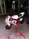 L'avatar di motard81