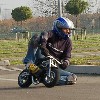 L'avatar di lorenzoM