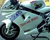 L'avatar di specialbike