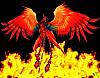 L'avatar di Phoenix