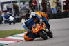 L'avatar di elfo