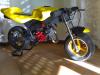 L'avatar di dr.beetle
